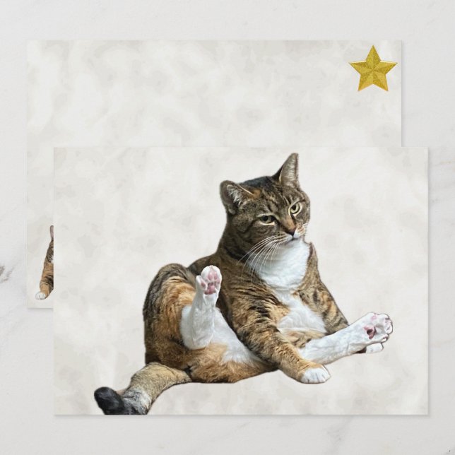 Fånig Cat Pose - Annie's Flat Greeting Card (Fram/baksida)