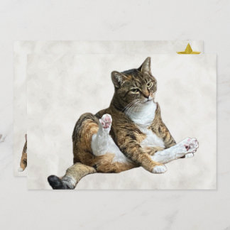 Fånig Cat Pose - Annie's Flat Greeting Card