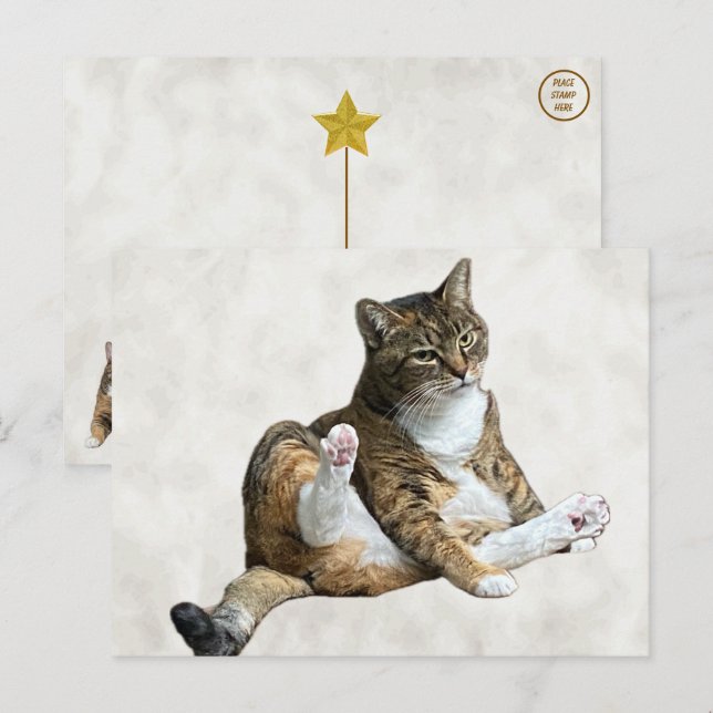 Fånig Cat Pose - Annie's Postcard Vykort (Fram/baksida)
