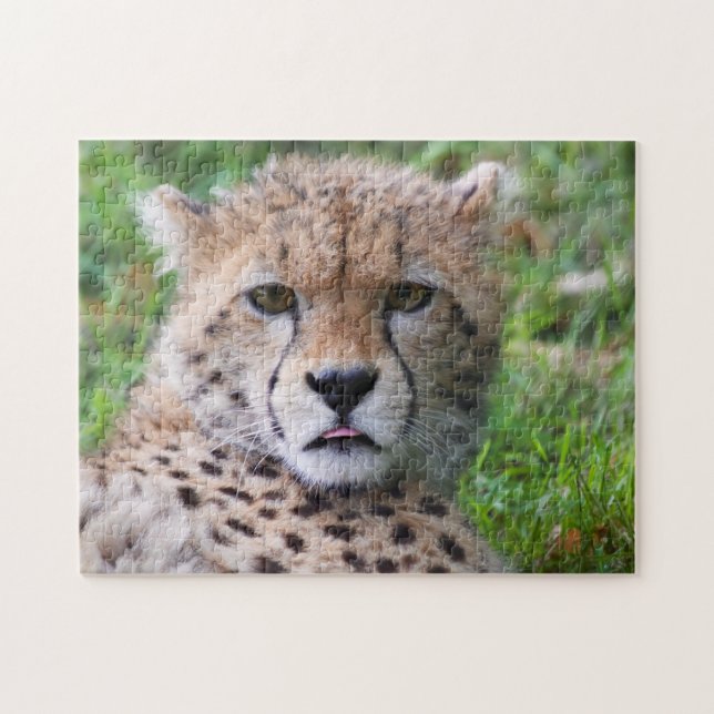 Fånig Cheetah Unge Pussel (Horisontell)