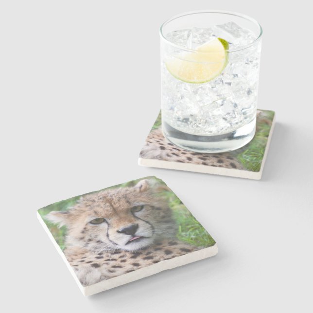 Fånig Cheetah Unge Stenunderlägg (Sidan)