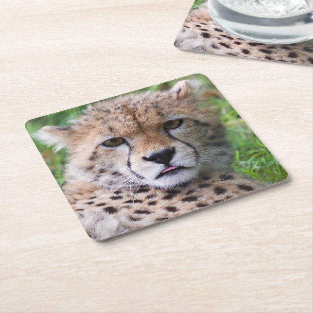 Fånig Cheetah Unge Underlägg Papper Kvadrat (Vinklad)