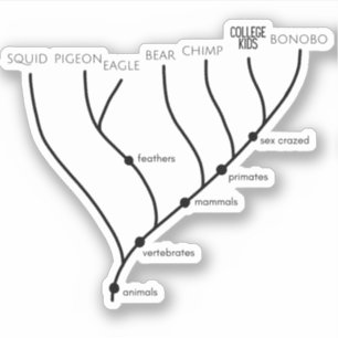 Fånig Cladogram 3 tum x 3 tum VinylStickers Klistermärken