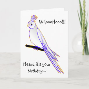 Fånig cockatiel kort