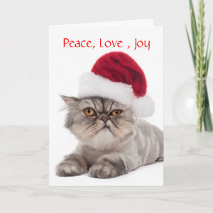 Fånig Cranky Cat med julkort från Santa Hat Helgkort