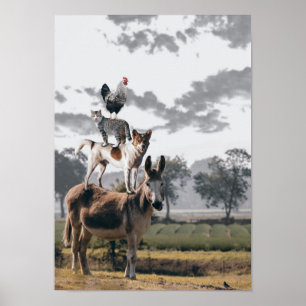 Fånig DjurPoster Poster