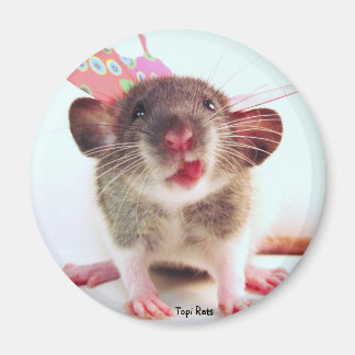 Fånig Flutterby Råtta Magnet