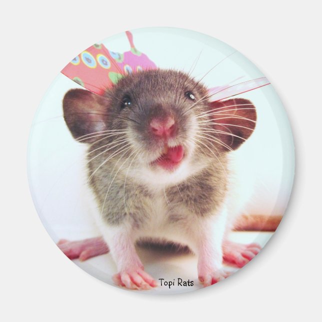 Fånig Flutterby Råtta Magnet (Framsidan)