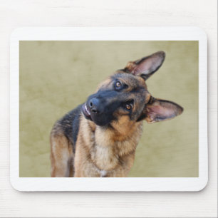 Fånig German Shepherd Musmatta