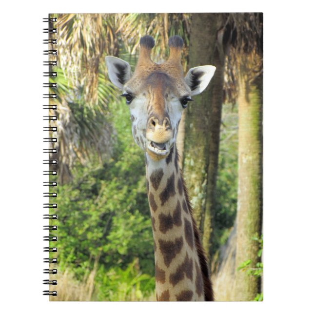 Fånig Giraffe - 6,5 x 8,75 bärbar dator Anteckningsbok (Framsidan)