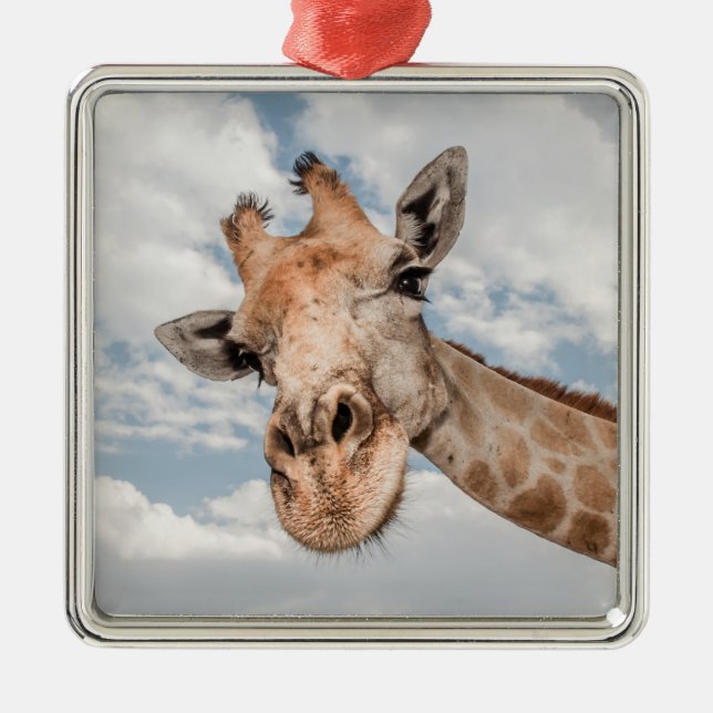 Fånig Giraffe Julgransprydnad Metall (Framsidan)