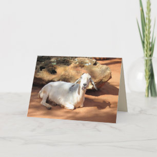 Fånig Goat Kort
