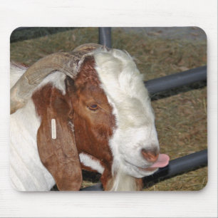 Fånig Goat Musmatta