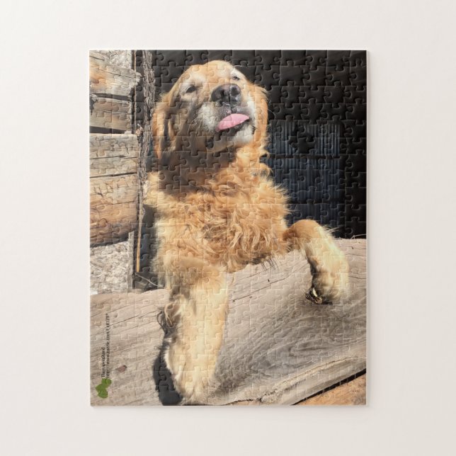 Fånig Golden Retriever-foto Pussel (Vertikal)