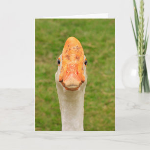Fånig Goose Birthday Kort
