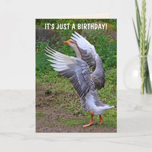 Fånig Goose Birthday Kort (Framsida)