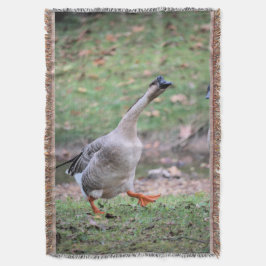 Fånig Gosarfilt Filt