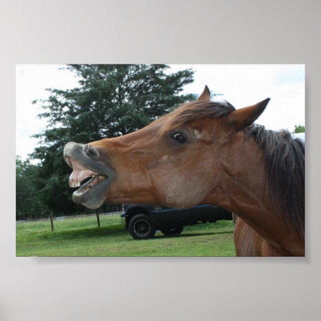 Fånig Horse Poster. Välj en bakgrund färg! Poster (Framsidan)