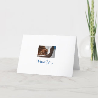 Fånig Hund Pension Kort