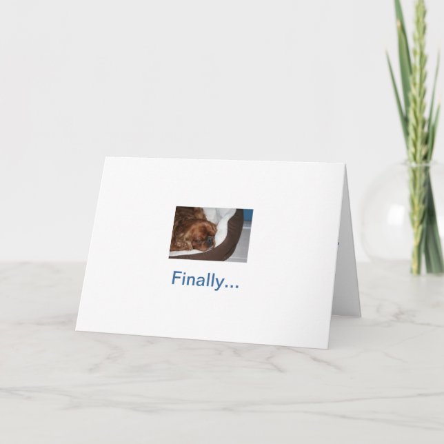 Fånig Hund Pension Kort (Framsida)