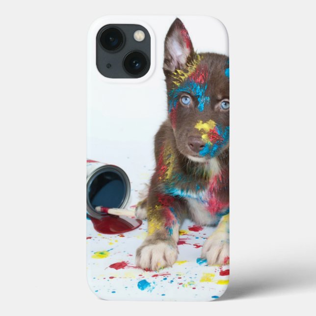 Fånig Husky Puppy har in i Paint Bucket (Baksida)