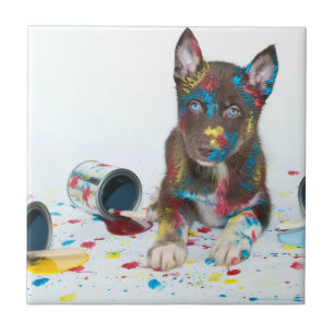 Fånig Husky Puppy har in i Paint Bucks Kakelplatta