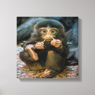 Fånig Little Monkey Canvastryck