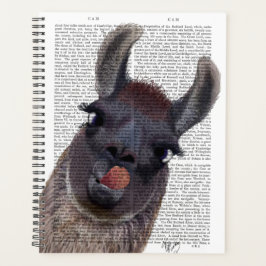 Fånig Llama
