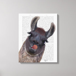 Fånig Llama Canvastryck