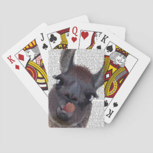 Fånig Llama Casinokort