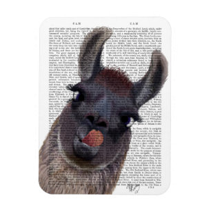 Fånig Llama Magnet