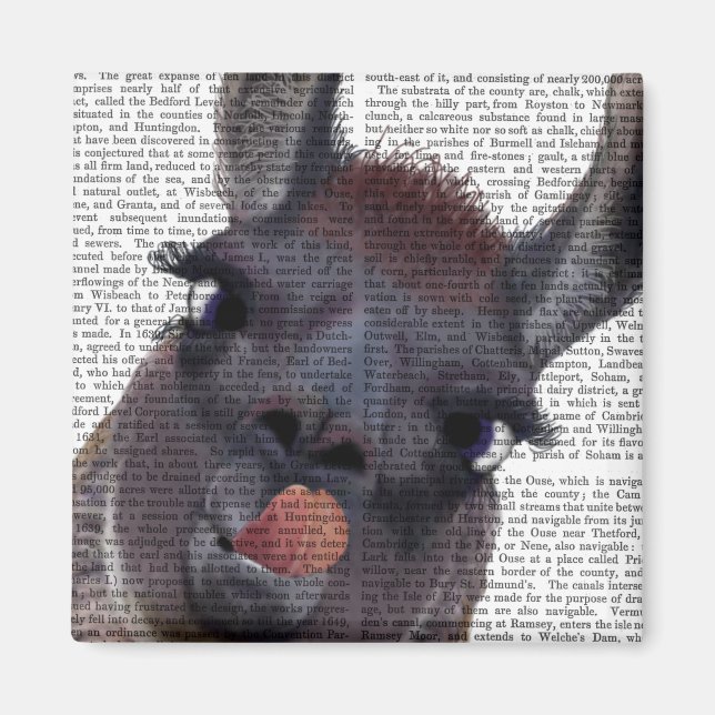Fånig Llama Magnet (Framsidan)