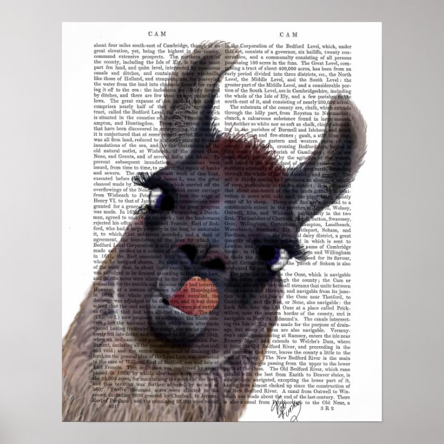 Fånig Llama Poster (Framsidan)