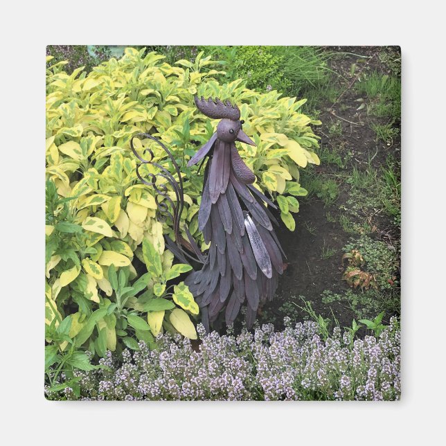 Fånig Metall Tupp Magnet (Framsidan)