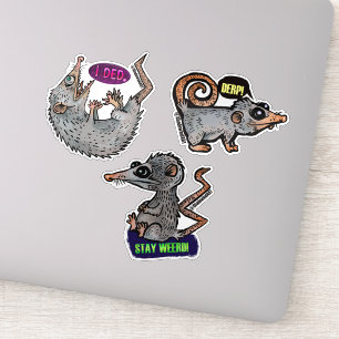fånig opossum-klistermärken klistermärken