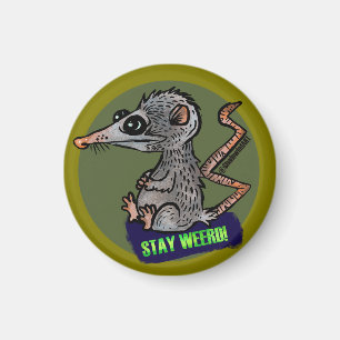 fånig opossum magnet