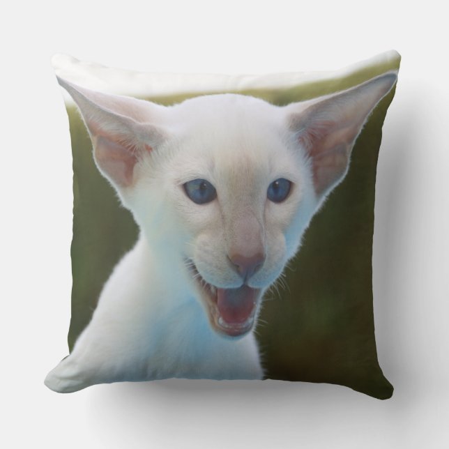 Fånig Siamese Kudde (Framsida)