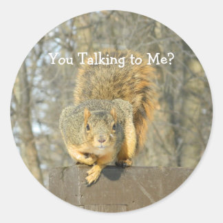 Fånig Squirrel Runt Klistermärke