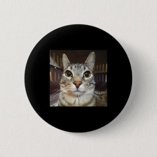 Fånig Stängande kattnummer Knapp