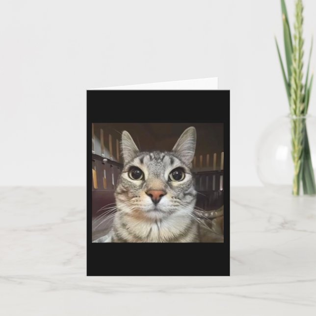 Fånig Stängande kattnummer Kort (Framsida)