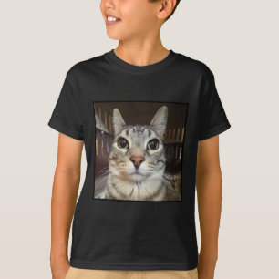 Fånig Stängande kattnummer T Shirt