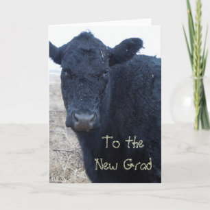 Fånig Studenten Grattis Cow Ranch Farm Kort