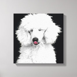 Fånig White Pudel Canvastryck