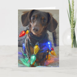 Fåniget Dachshund var snurrigt i julklapp Ljus Helgkort