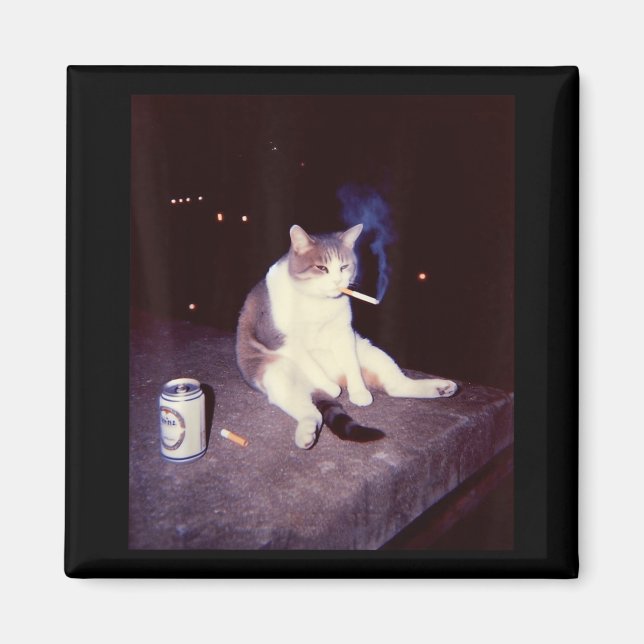 Fåniget Lusj Smoking Meme Cigarette Kitten Brainro Magnet (Framsidan)