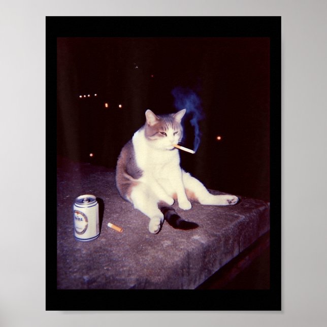 Fåniget Lusj Smoking Meme Cigarette Kitten Brainro Poster (Framsidan)