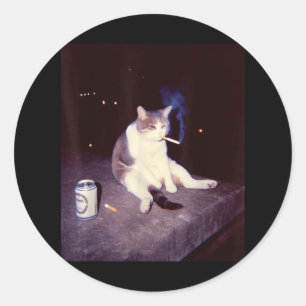 Fåniget Lusj Smoking Meme Cigarette Kitten Brainro Runt Klistermärke