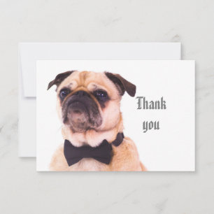 Fåniget roligt Formell Pug Hund Tack Kort
