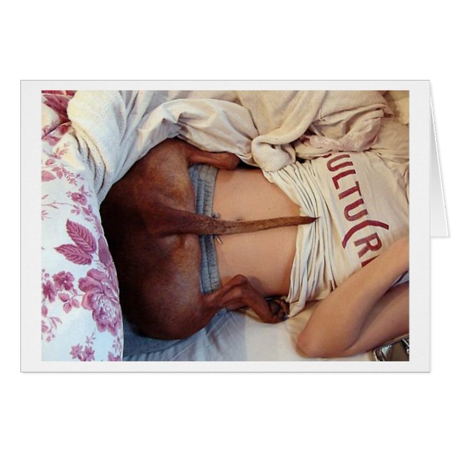 Fåniget Sömnig Pitbull! OBS Kort (Framsidan Horizontal)