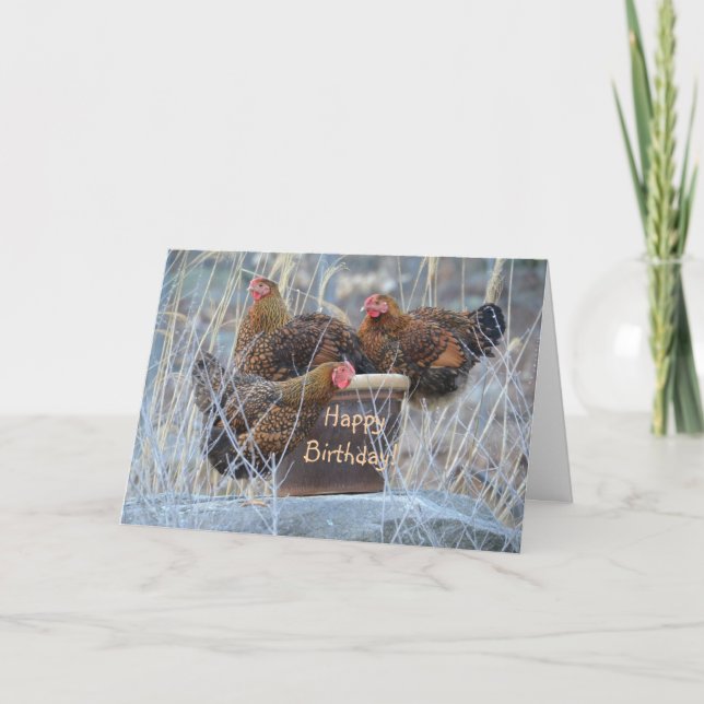 Fånigets födelsedagskort för kycklingar kort (Framsida)